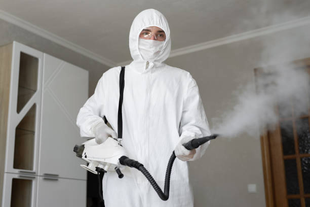 Forensic Mold Investigation in San Dimas, CA